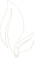 logo-icon-big.png